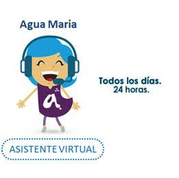 asistente virtual