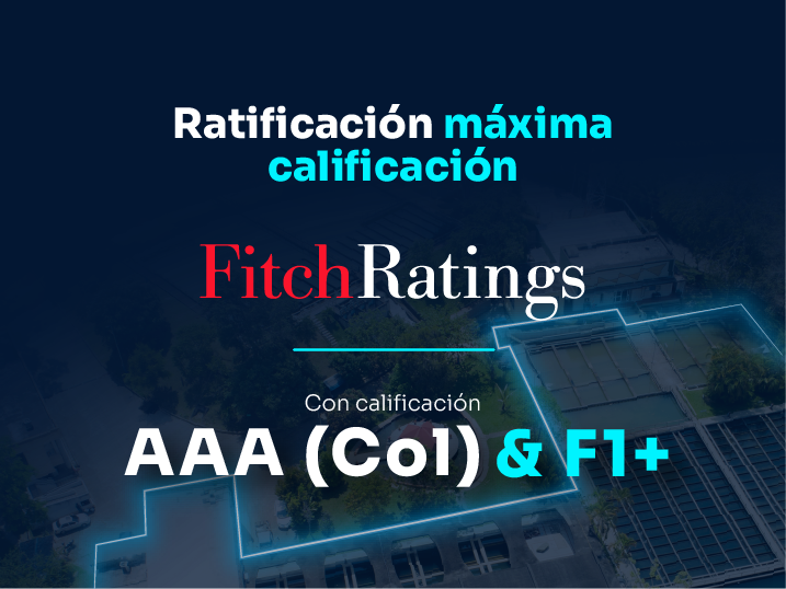 destacada fitch 1