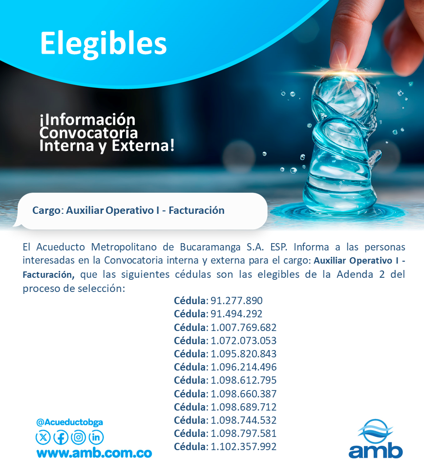 ELEGIBLES adenda Facturacion 1