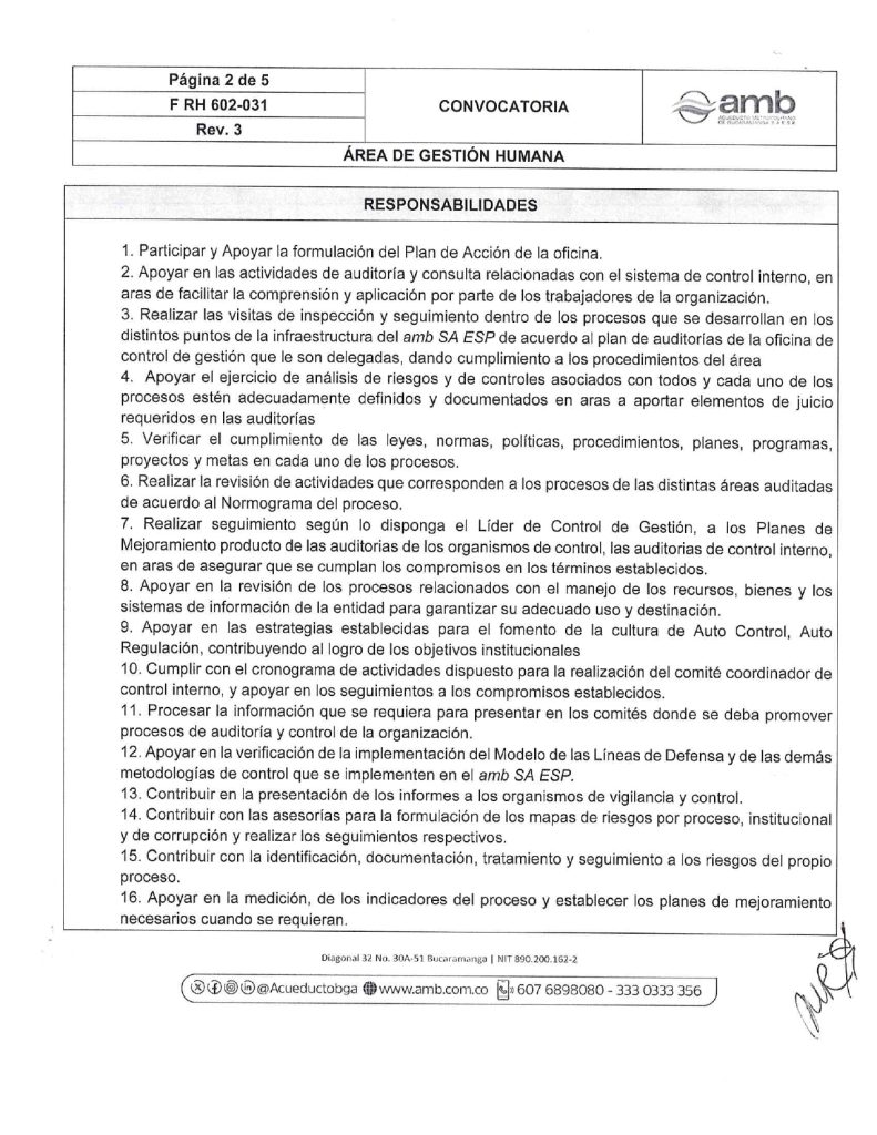 Convocatoria Interna y Externa Profesional Asistente Control de Gestion page 0002