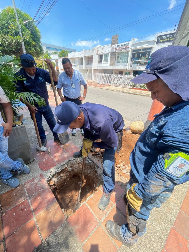 PHOTO 2025 12 10 09 55 15 1