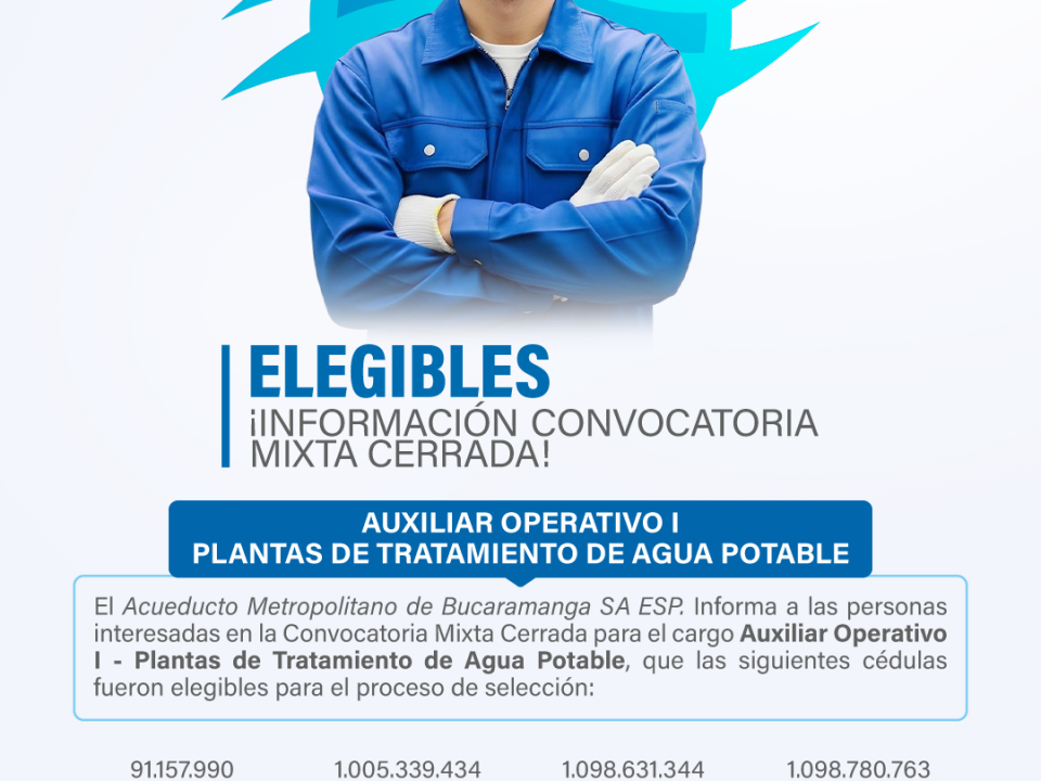 elegibles
