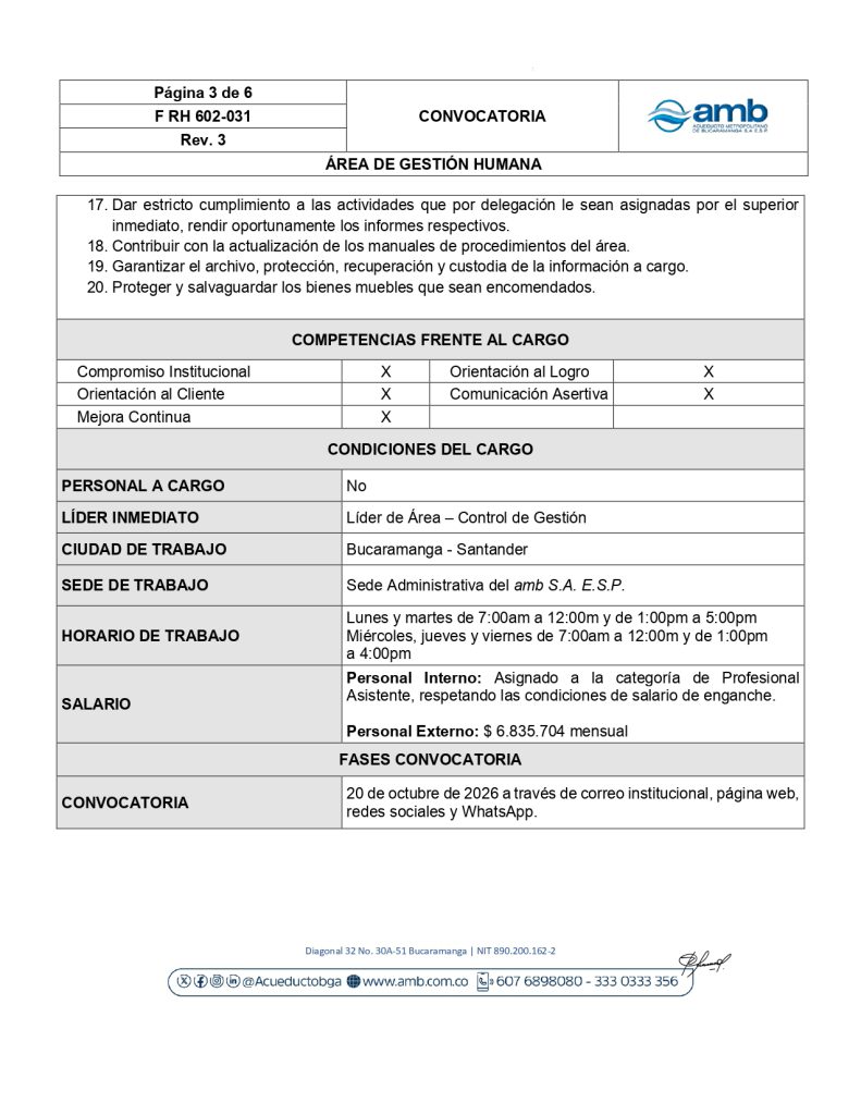 Convocatoria interna y externa Profesional Asistente Control de Gestion page 0003